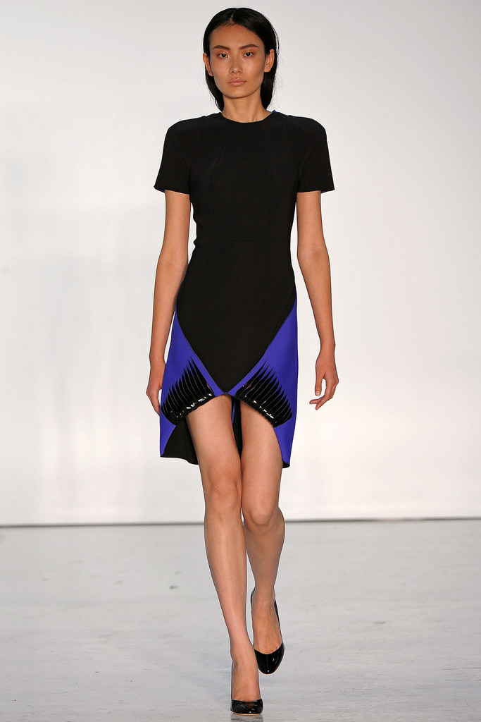 Dion Lee 2013DƬ