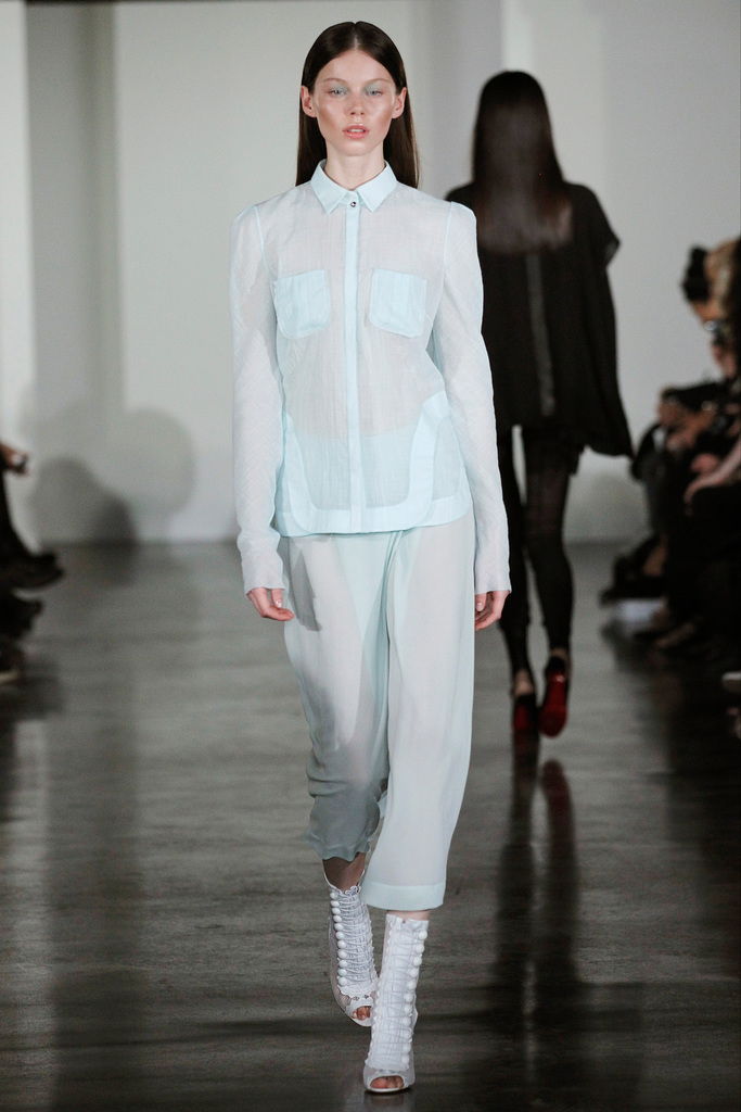 Willow 2013(chng)DƬ
