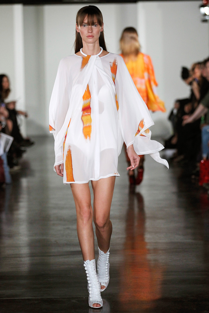 Willow 2013(chng)DƬ