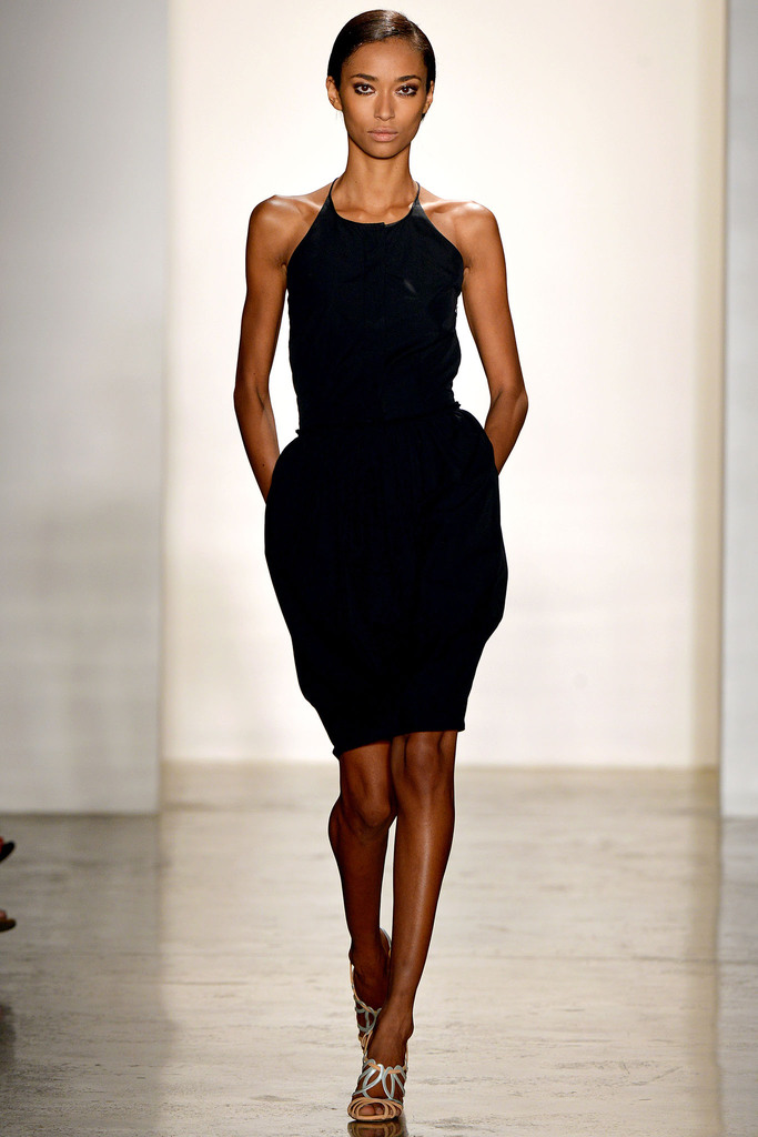 Sophie Theallet 2013DƬ