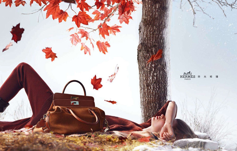Hermes 2012ﶬϵЏVDƬ