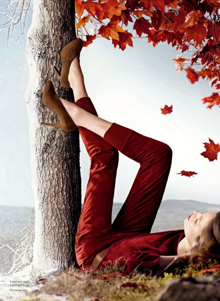 Hermes 2012ﶬϵЏVDƬ