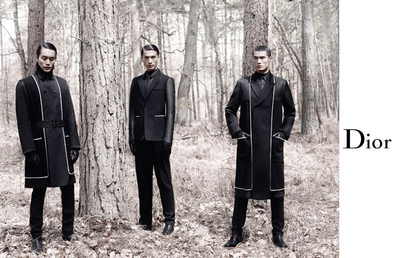 Dior Homme 2012ﶬbVDƬ