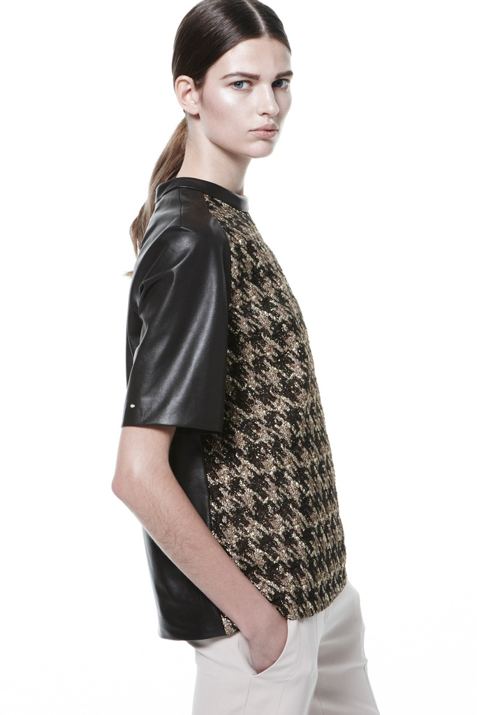 J. Mendel 2013DDƬ