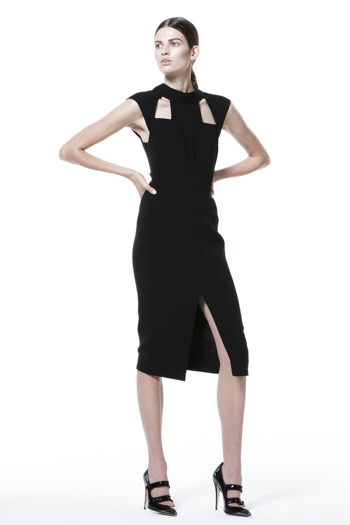 J. Mendel 2013DDƬ
