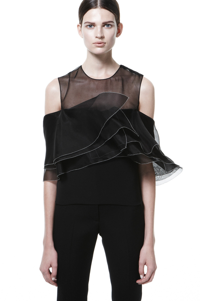 J. Mendel 2013DDƬ