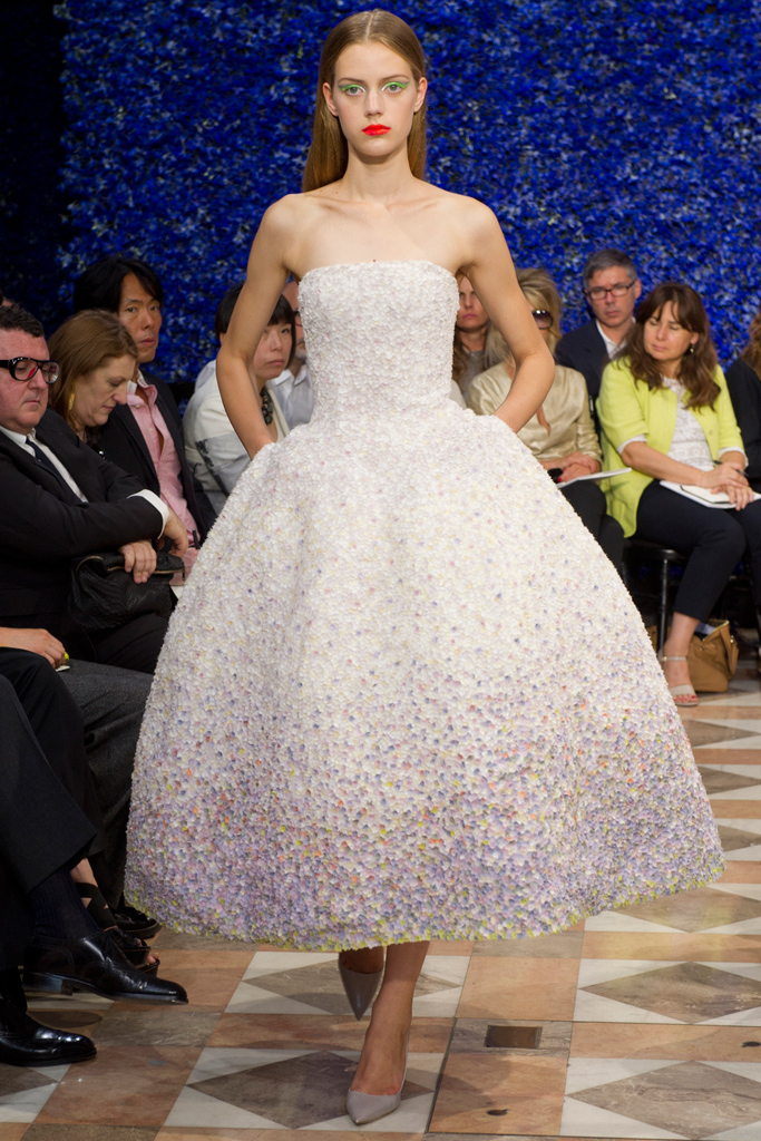 Christian Dior 2012ﶬ߼DDƬ