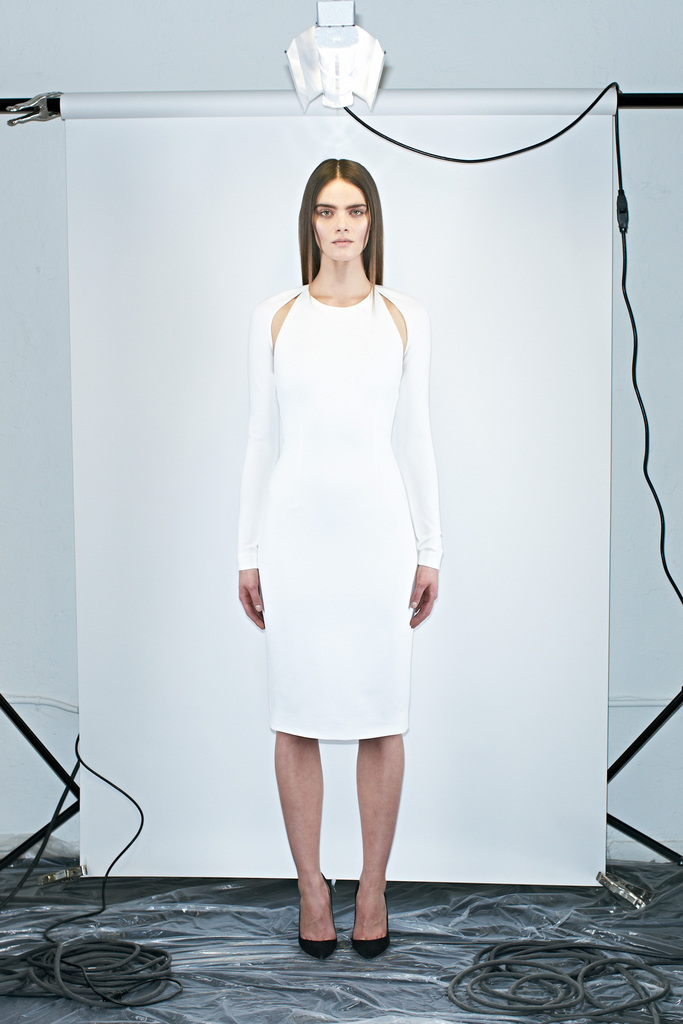 Cushnie Et Ochs 2013DDƬ