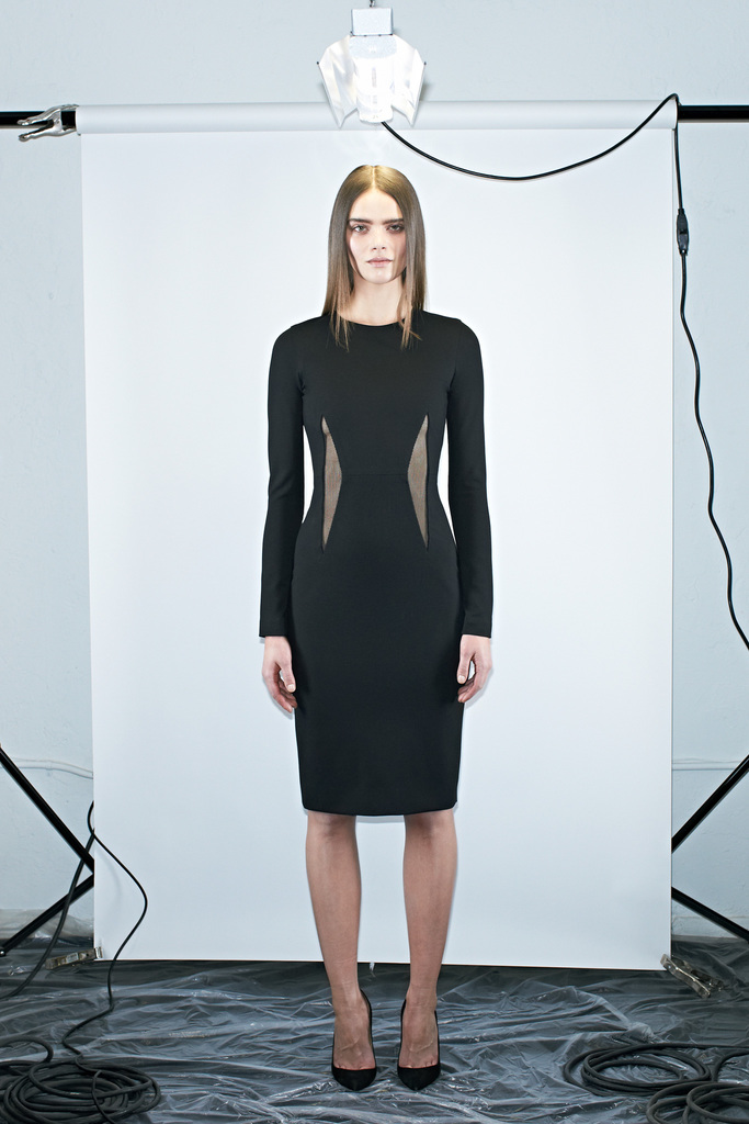 Cushnie Et Ochs 2013DDƬ