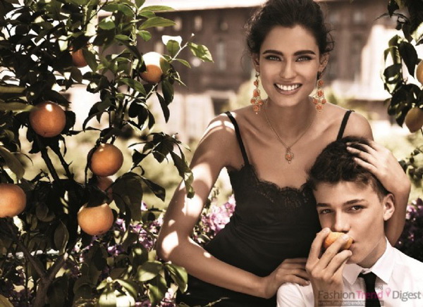 Dolce & Gabbana 2013ϵ錚VDƬ