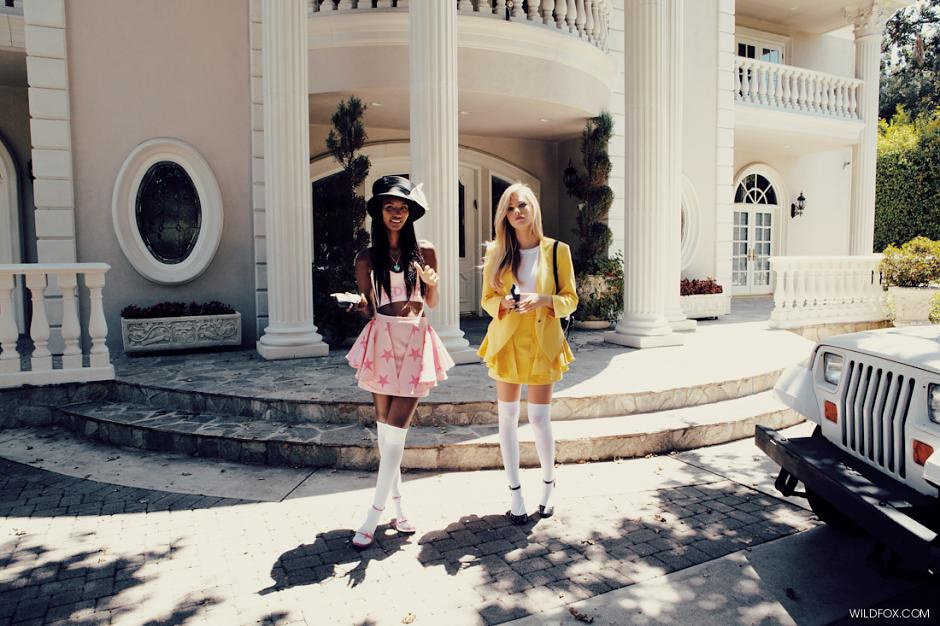 Wildfox 2013 LookbookDƬ