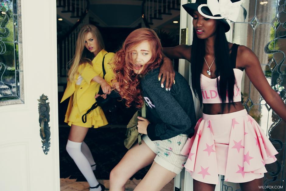 Wildfox 2013 LookbookDƬ