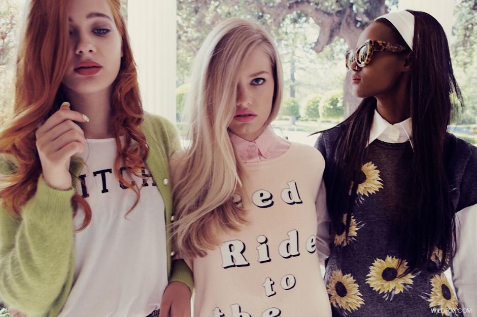 Wildfox 2013 LookbookDƬ