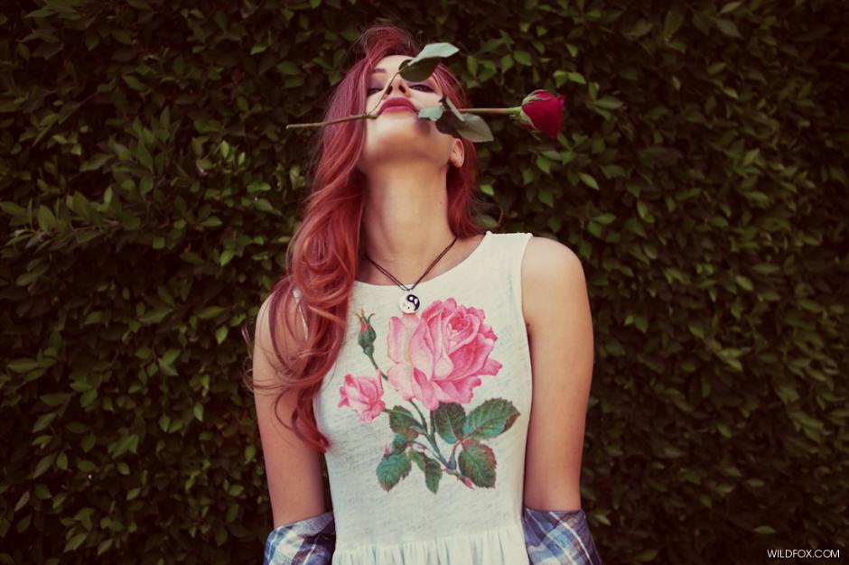 Wildfox 2013 LookbookDƬ