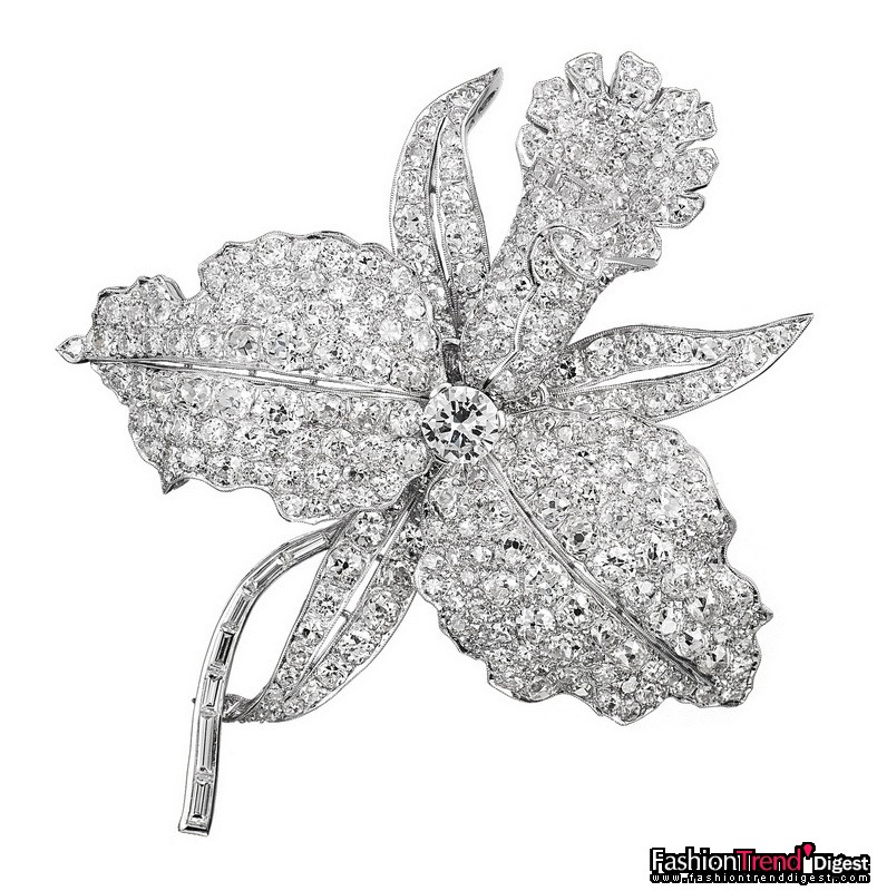 自然之師：Orchid 胸針<br>
鉑金及鉆石，1928年<br>
<br>
很多作品都展現了1920年代非常流行的日本風格對珠寶設計的影響，譬如這枚盛放的 Orchid 胸針，以鉑金全鋪鑲的圓形切割鉆石描繪招展的花瓣，花芯由一顆圓形切割鉆石妝點，嫩枝以長方形切割鉆石勾勒。<br>
<br>
Van Cleef & Arpels 梵克雅寶典藏 