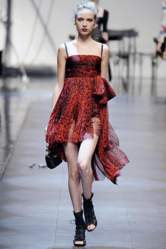 Dolce & Gabbana 10ĸDƬ